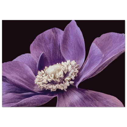 d50606bc-25b0-4741-a1ff-ab6814f87790