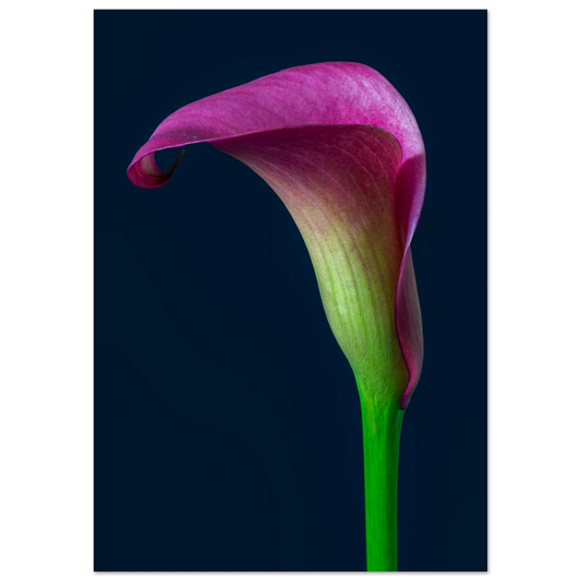 d8a976cc-0daf-48c9-99f2-85af3732d180