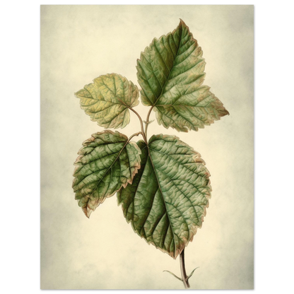 db4b8b8f-0190-4623-9ee5-de37a93765b5