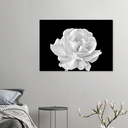 dde84b7a-07b2-498a-b3b8-fcb0e2d84224