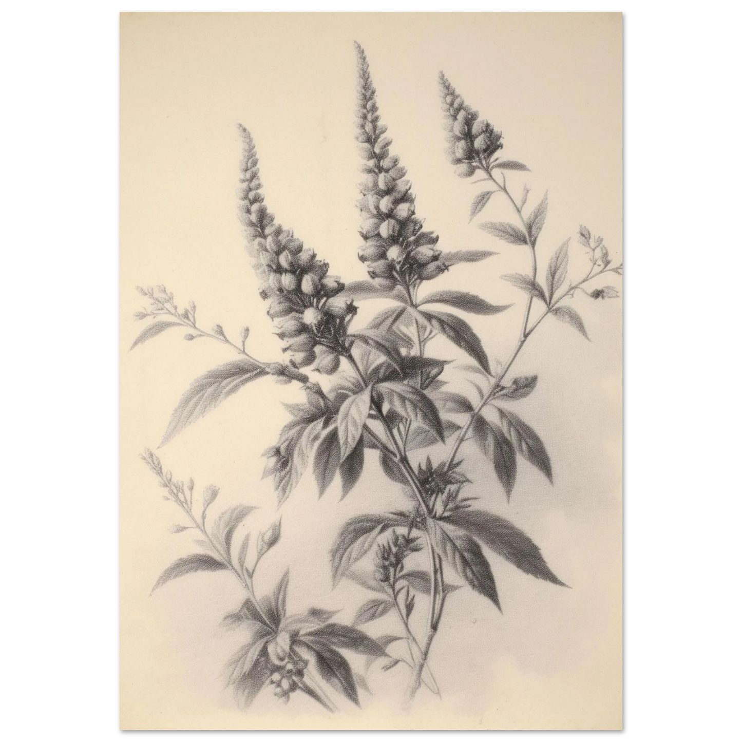 deefc8f9-3d28-4a08-ae2f-628387c88b52