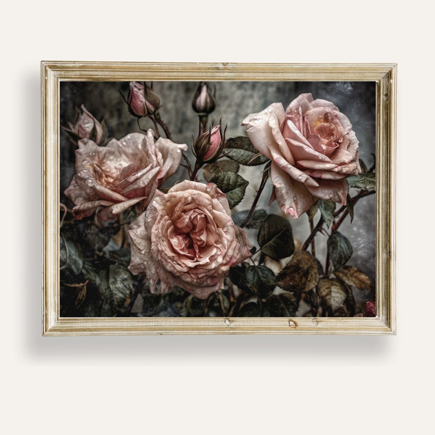 Soft vintage roses kissed by morning dew, captured in delicate artistic detail
