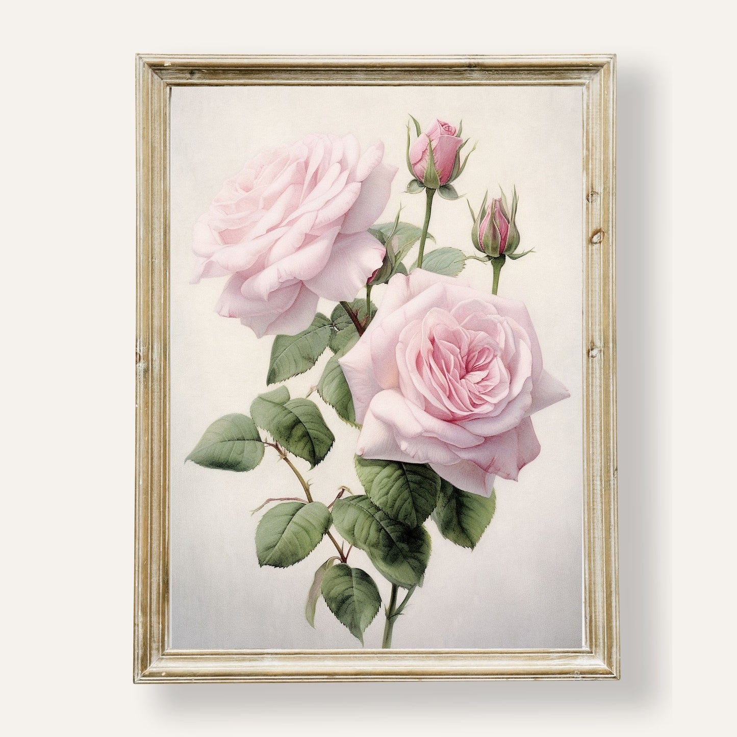 Elegant pink roses in full bloom, captured in soft and delicate detail
