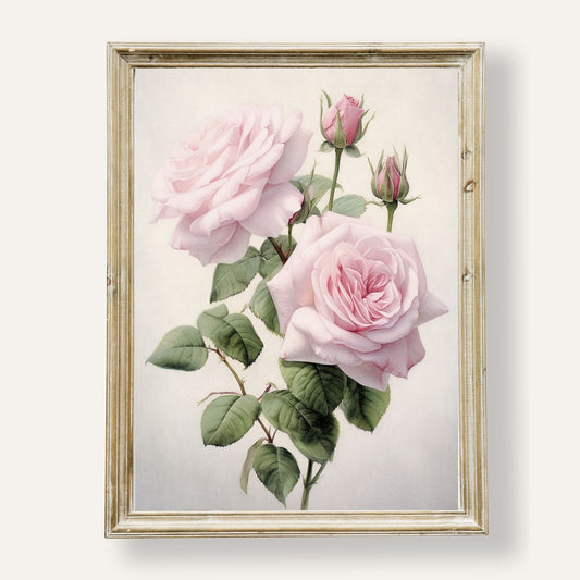 Elegant pink roses in full bloom, captured in soft and delicate detail
