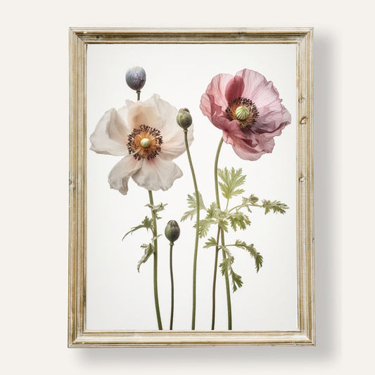 Graceful poppies in full bloom swaying gently in the soft morning light
