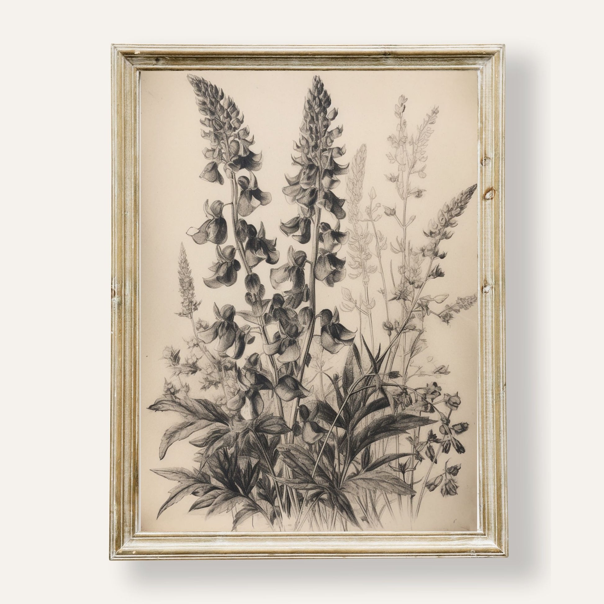 Elegant poster featuring a finely detailed botanical drawing in vintage style
