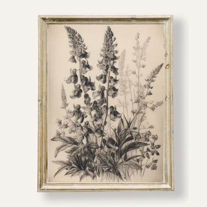 Elegant poster featuring a finely detailed botanical drawing in vintage style

