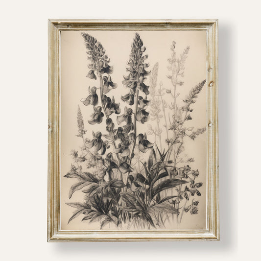Elegant poster featuring a finely detailed botanical drawing in vintage style
