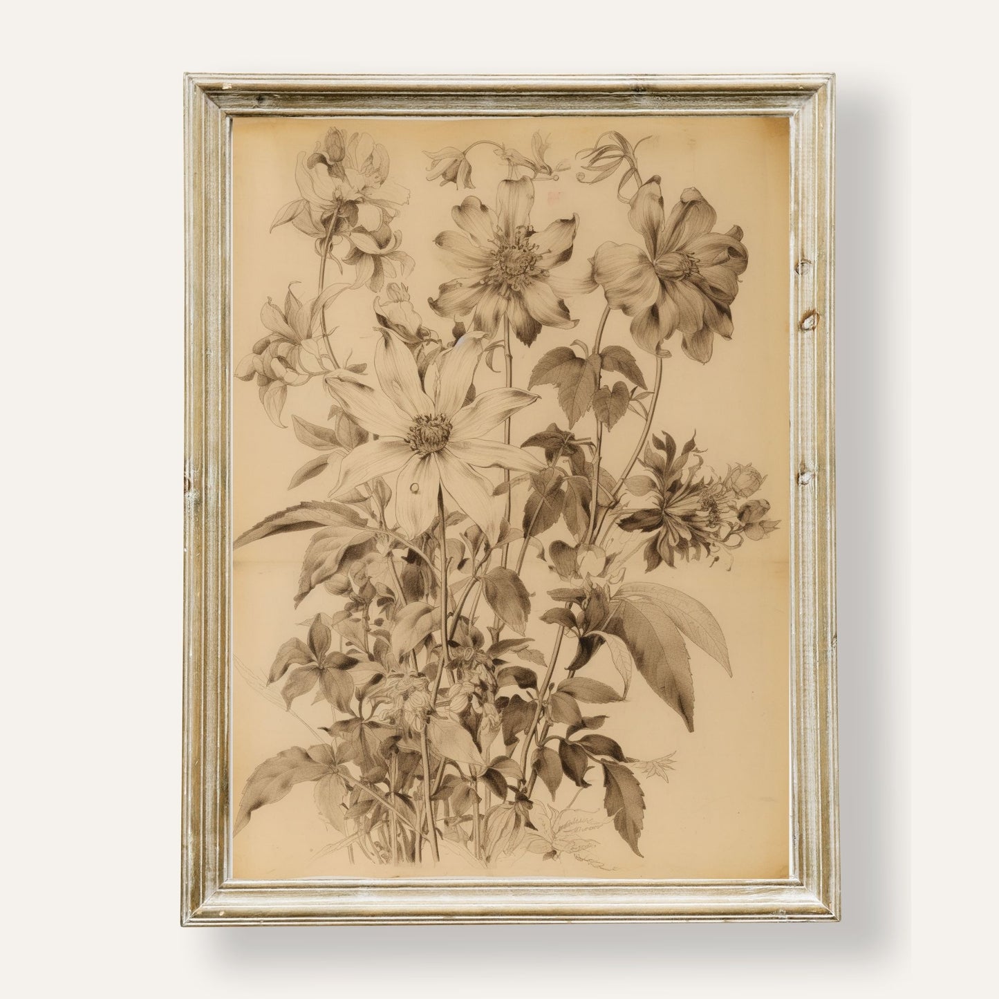 Elegant poster featuring a detailed botanical illustration in fine artistic style
