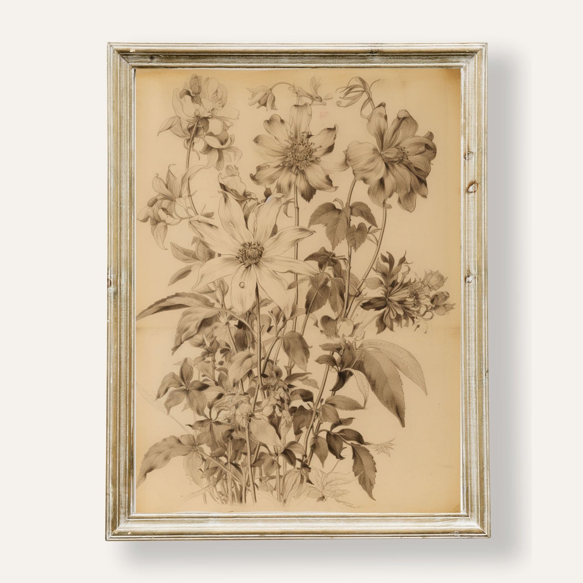 Elegant poster featuring a detailed botanical illustration in fine artistic style
