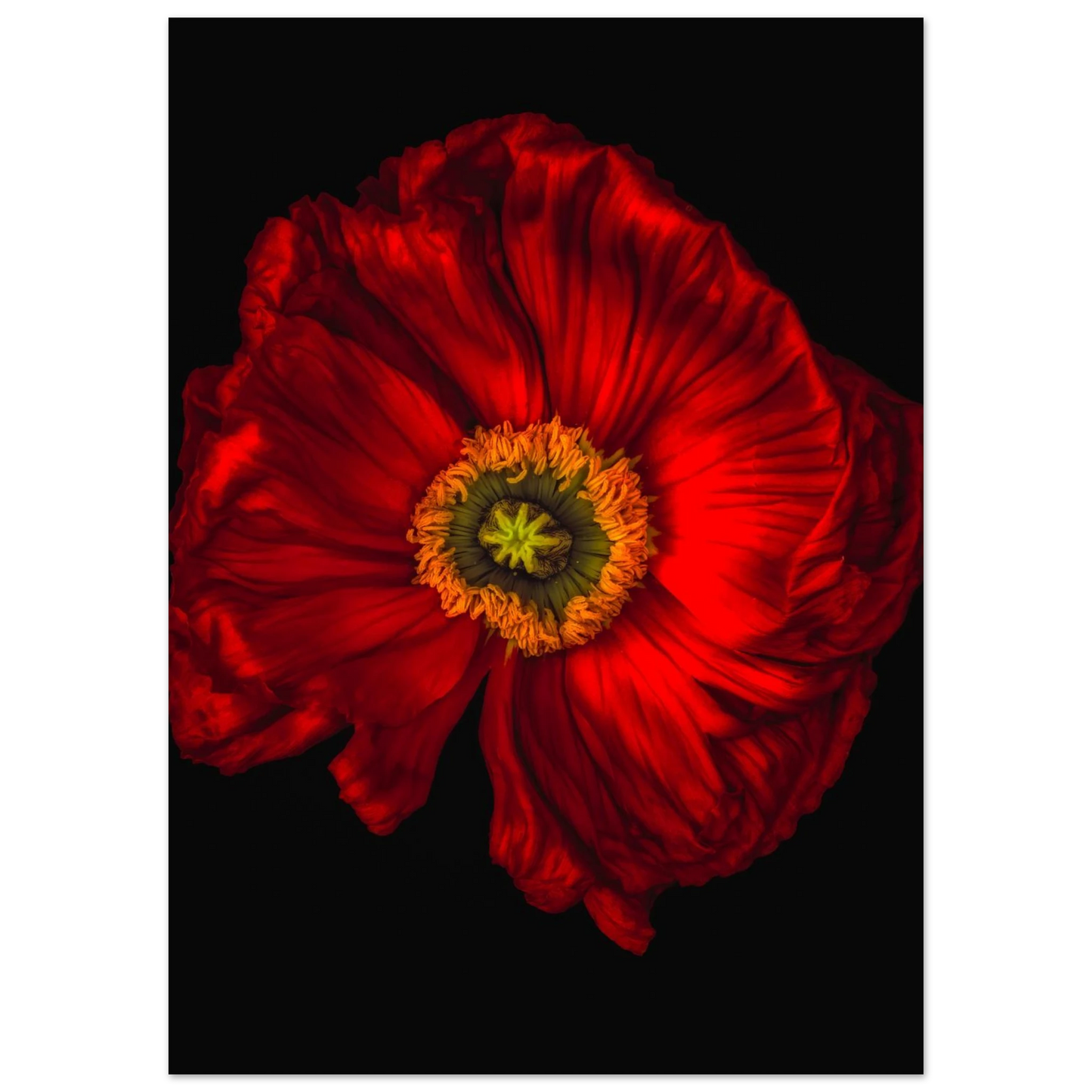 e5e4ed8e-7ef9-40c6-a946-32a4696352c6