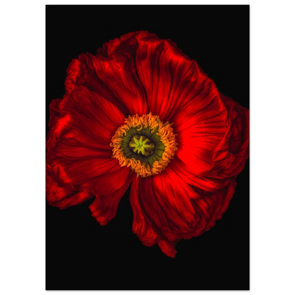 e5e4ed8e-7ef9-40c6-a946-32a4696352c6