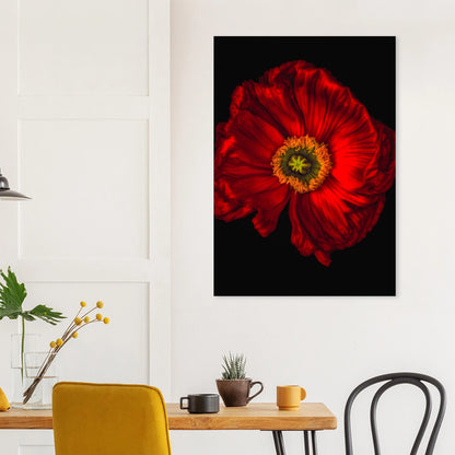 ec9d3a99-8de9-410d-baed-f1c9dc9f0bf4