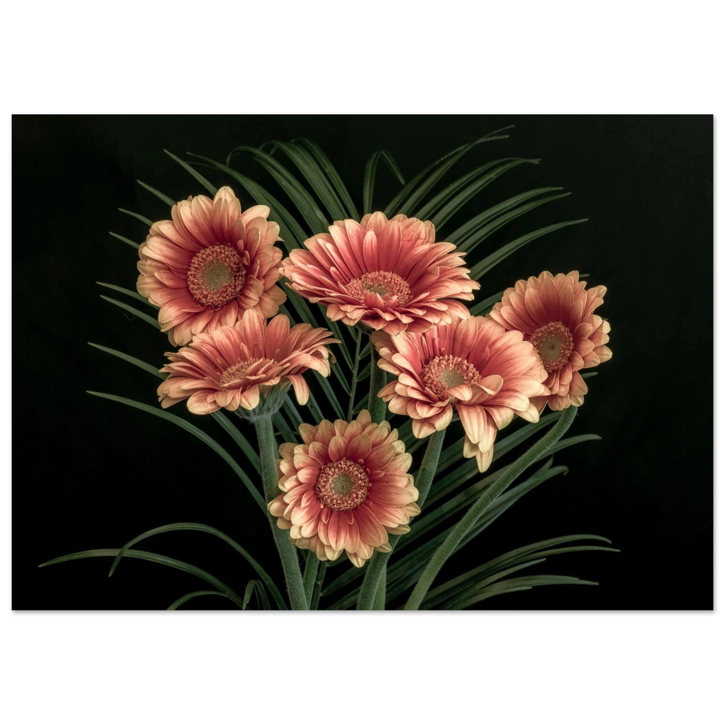 ed30778f-0eb5-435a-a0f2-65888fd8dbdb