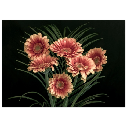 ed30778f-0eb5-435a-a0f2-65888fd8dbdb