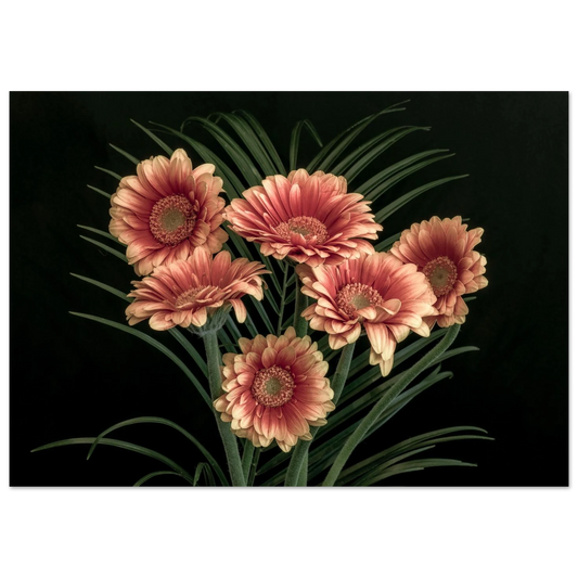 ed30778f-0eb5-435a-a0f2-65888fd8dbdb