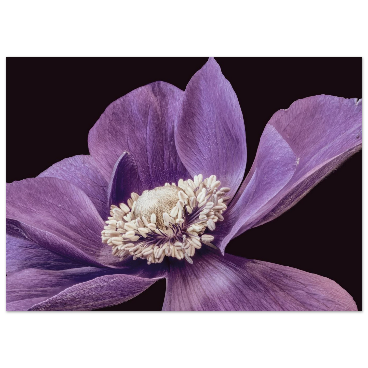 ed960e9b-faaa-4553-ac3e-a7b84ca78935