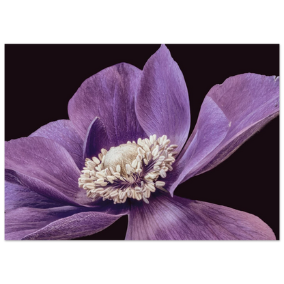 ed960e9b-faaa-4553-ac3e-a7b84ca78935