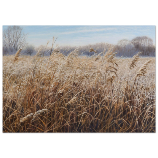 efd848dc-e80b-4ad3-95c0-9f111f3f2fd0