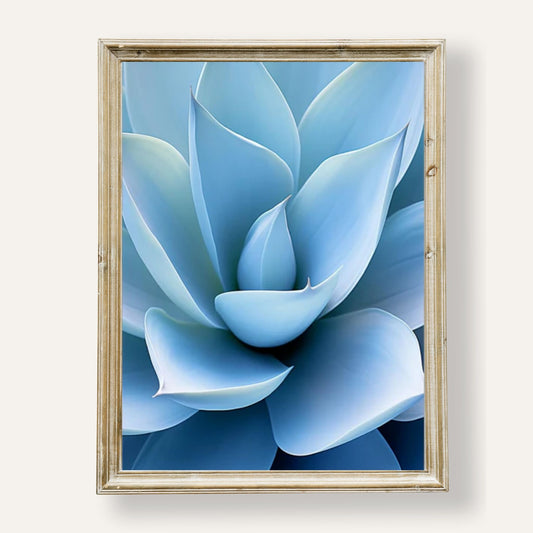 Elegant blue succulent print with close-up detail for botanical wall décor
