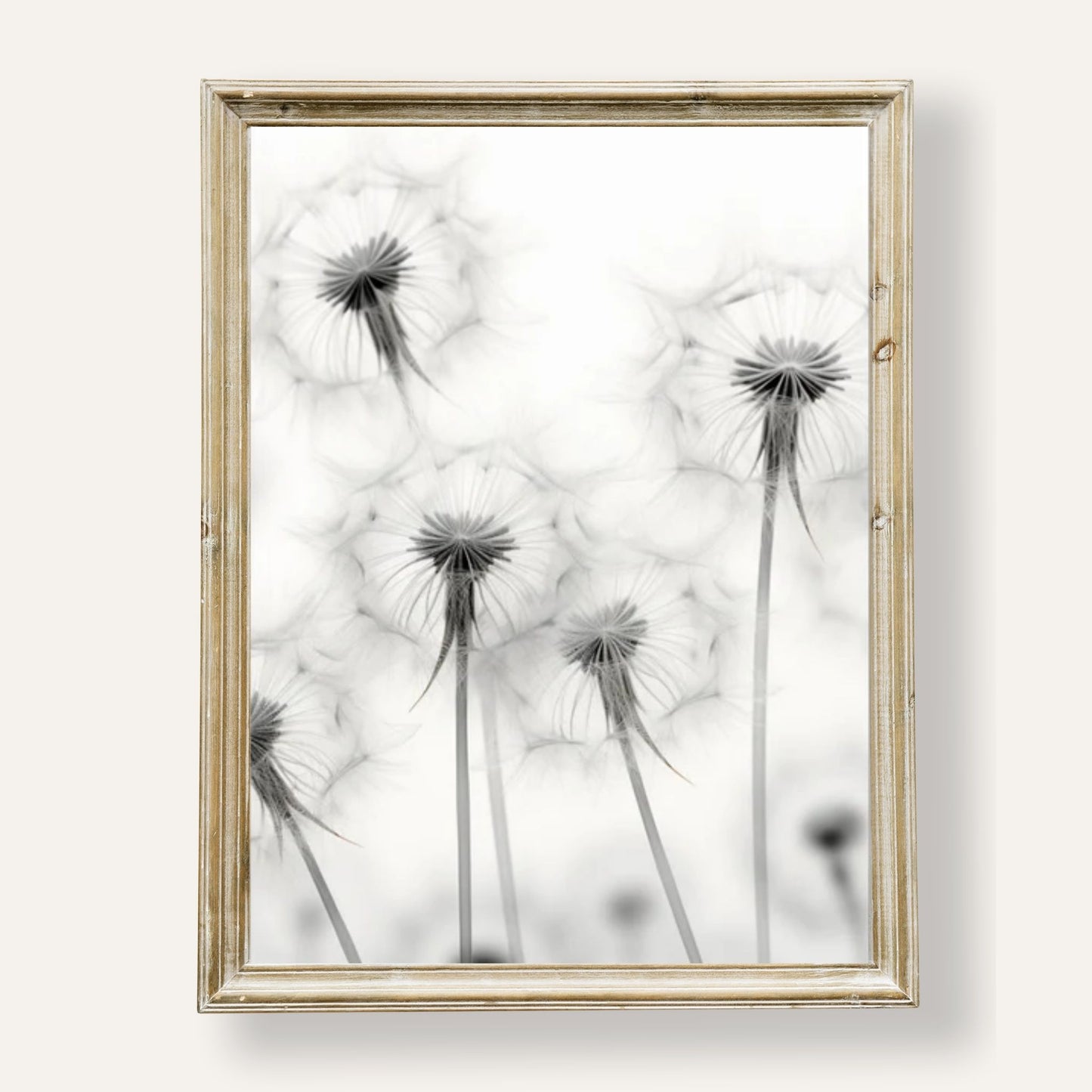 Elegant dandelion art print in monochrome for minimalist wall décor