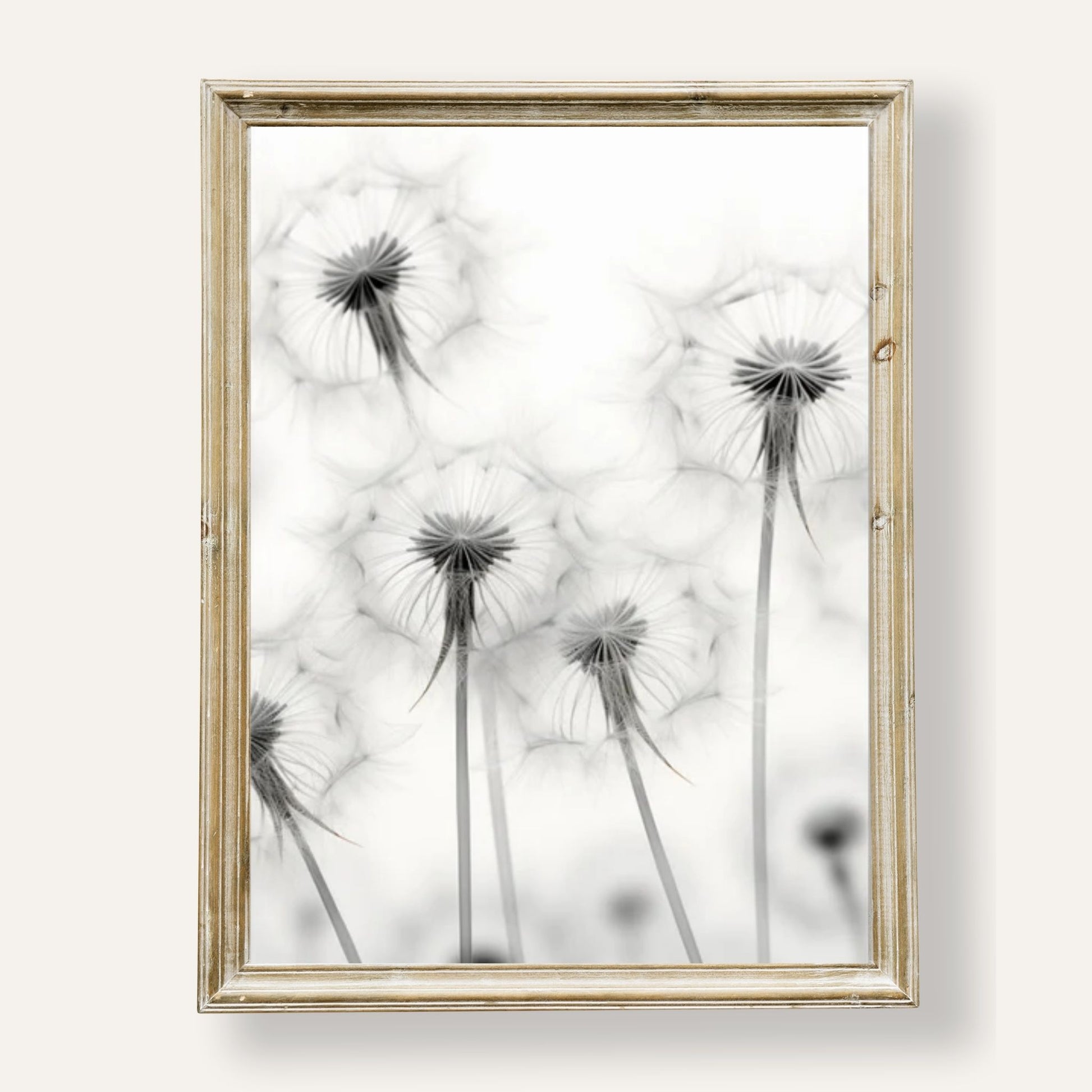 Elegant dandelion art print in monochrome for minimalist wall décor