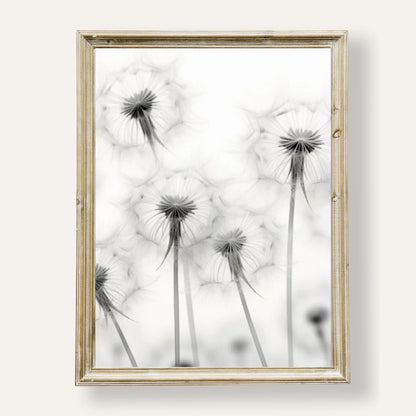 Elegant dandelion art print in monochrome for minimalist wall décor