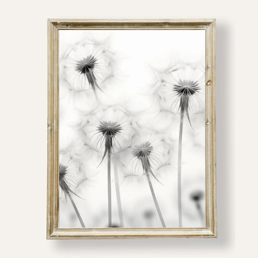 Elegant dandelion art print in monochrome for minimalist wall décor