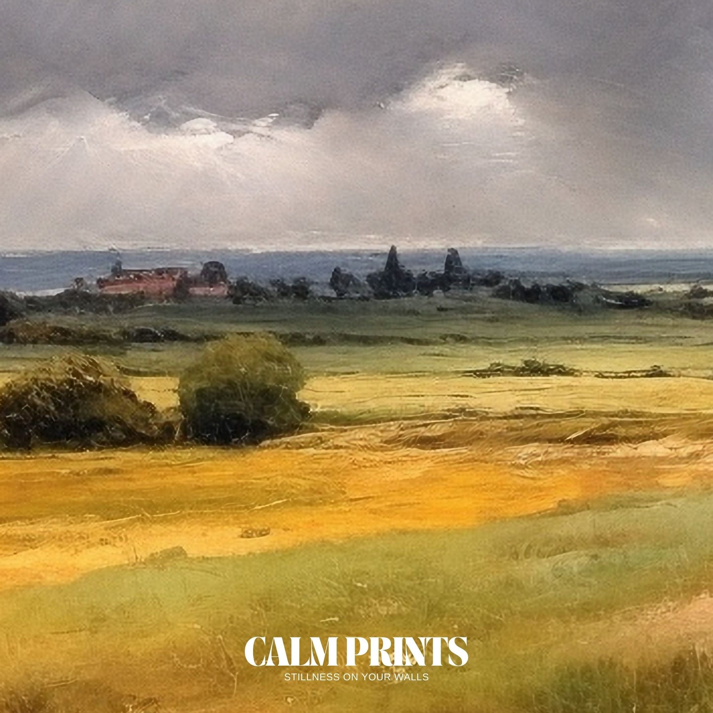 Expansive fields basking under gentle clouds in a still countryside view
