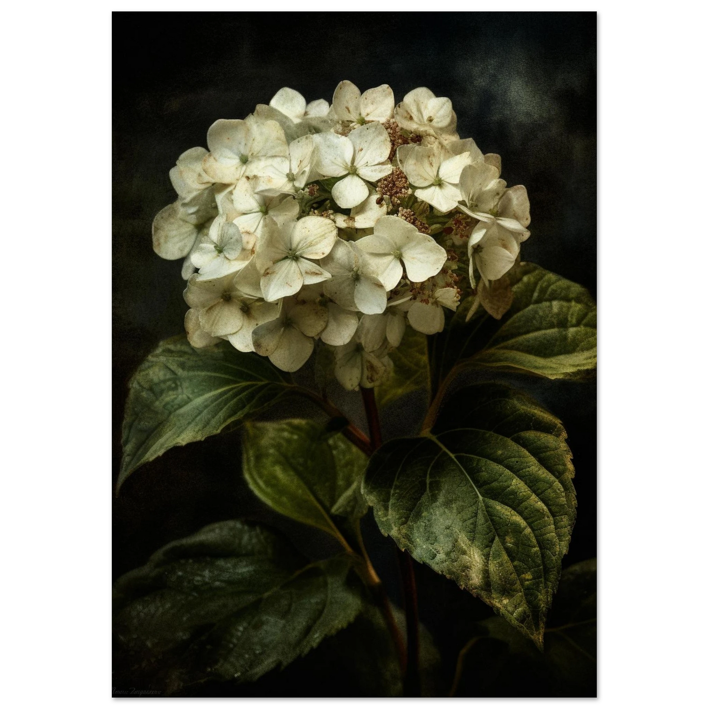 f947dd72-d876-4680-8030-69b6bfb9fd19