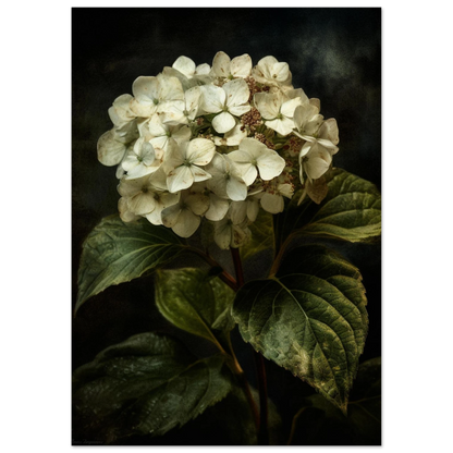 f947dd72-d876-4680-8030-69b6bfb9fd19