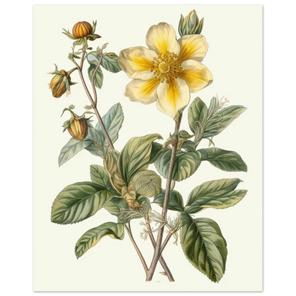 fb470856-c264-4352-9374-876f1231bb47