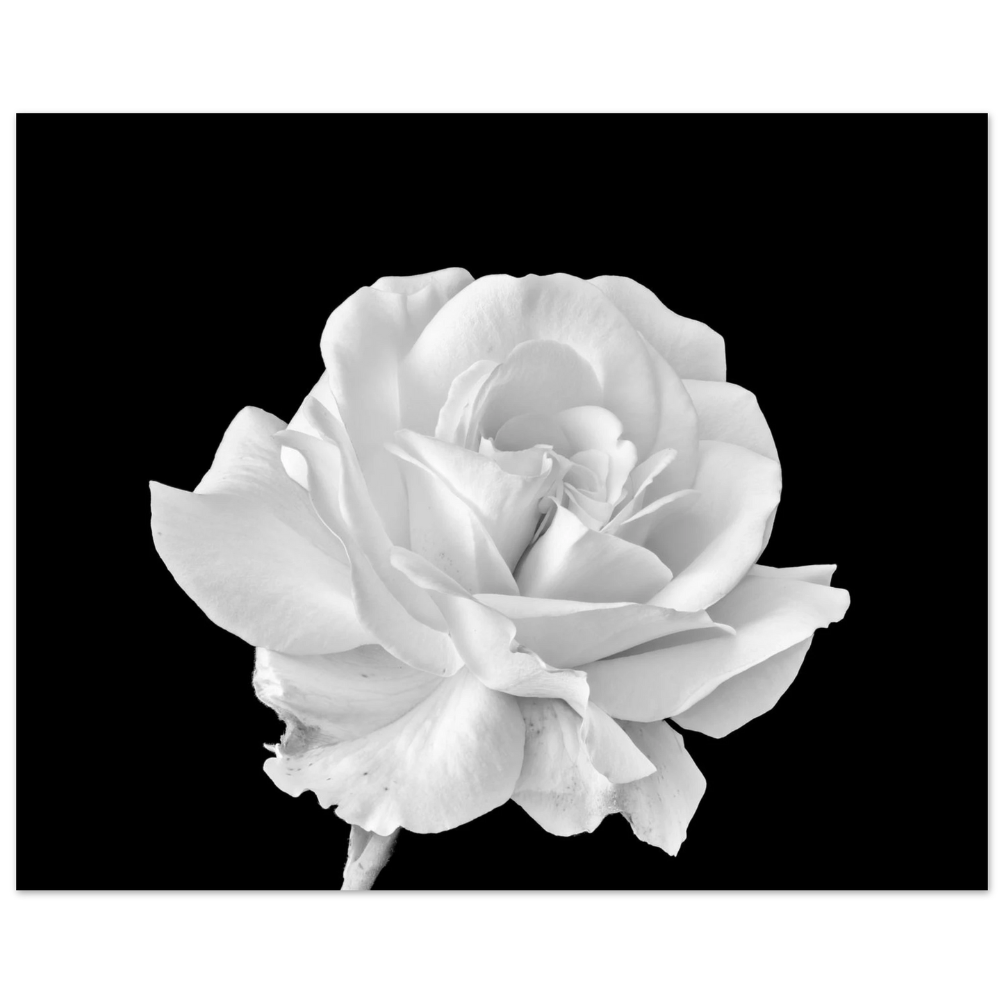 fbafe885-7bfe-431c-a2bd-16ca2c3b6bf7