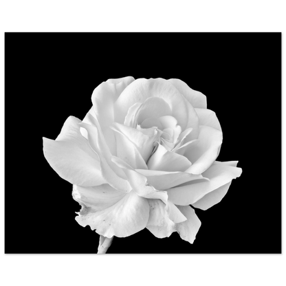 fbafe885-7bfe-431c-a2bd-16ca2c3b6bf7