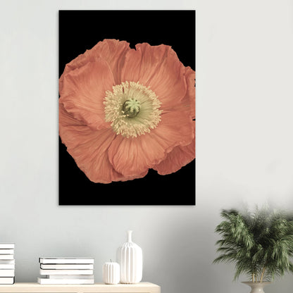 fc45405e-2e86-46f5-8d61-2cd1345bdf9a