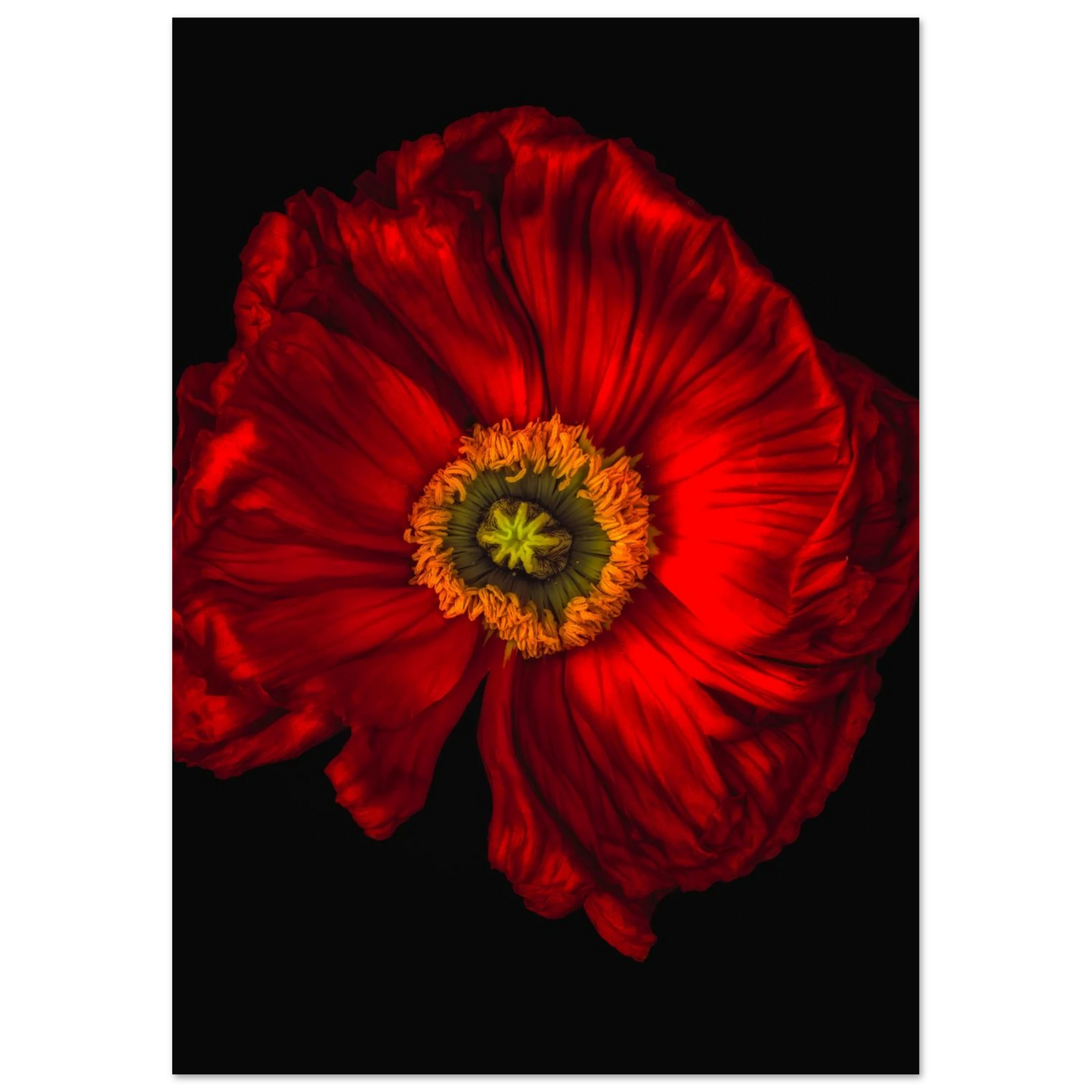 fdc69abd-8516-4c40-bcf4-9df19e631527