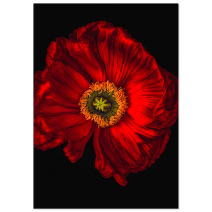 fdc69abd-8516-4c40-bcf4-9df19e631527