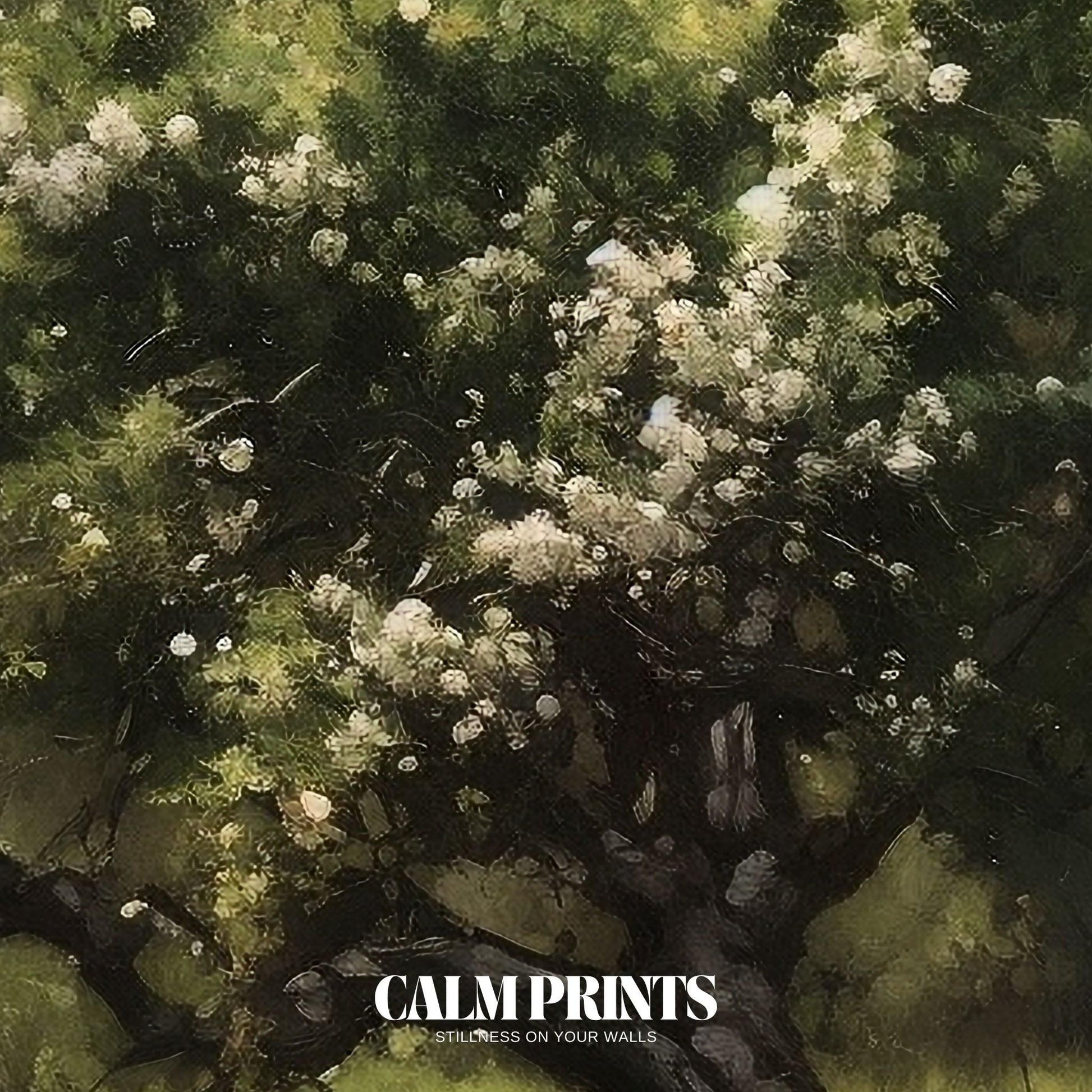 Tree blooming under fresh spring air and soft natural light
