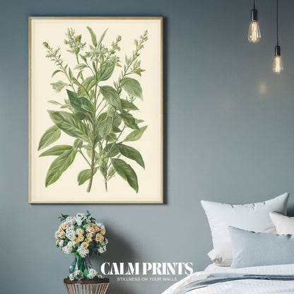 Print featuring lush green plant in traditional botanical illustration
