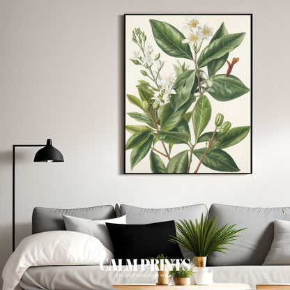 Hand-drawn botanical art of delicate jasmine with elegant green stems
