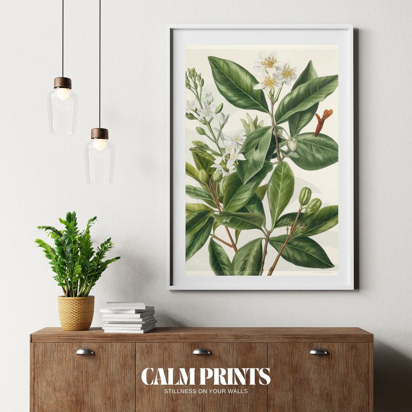 Illustration of blooming jasmine flowers with refined botanical charm

