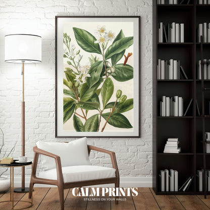 Wall artwork featuring jasmine in fine-lined botanical detail
