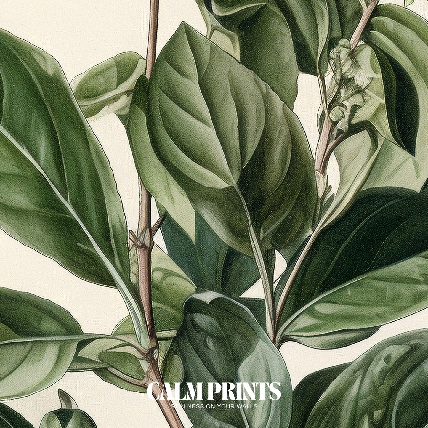 Poster featuring natural elements with soft leaves and ripened berries
