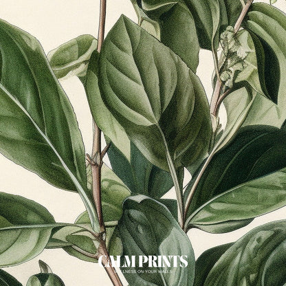 Poster featuring natural elements with soft leaves and ripened berries
