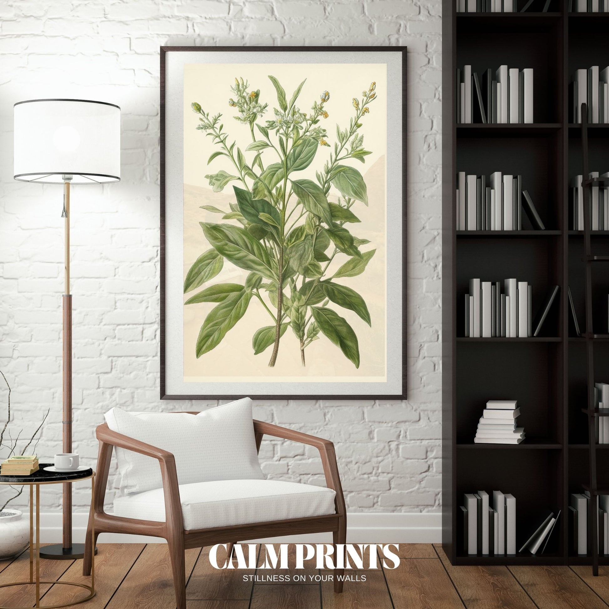 Nature study artwork of a green plant with clean lines and soft tones
