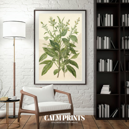 Nature study artwork of a green plant with clean lines and soft tones
