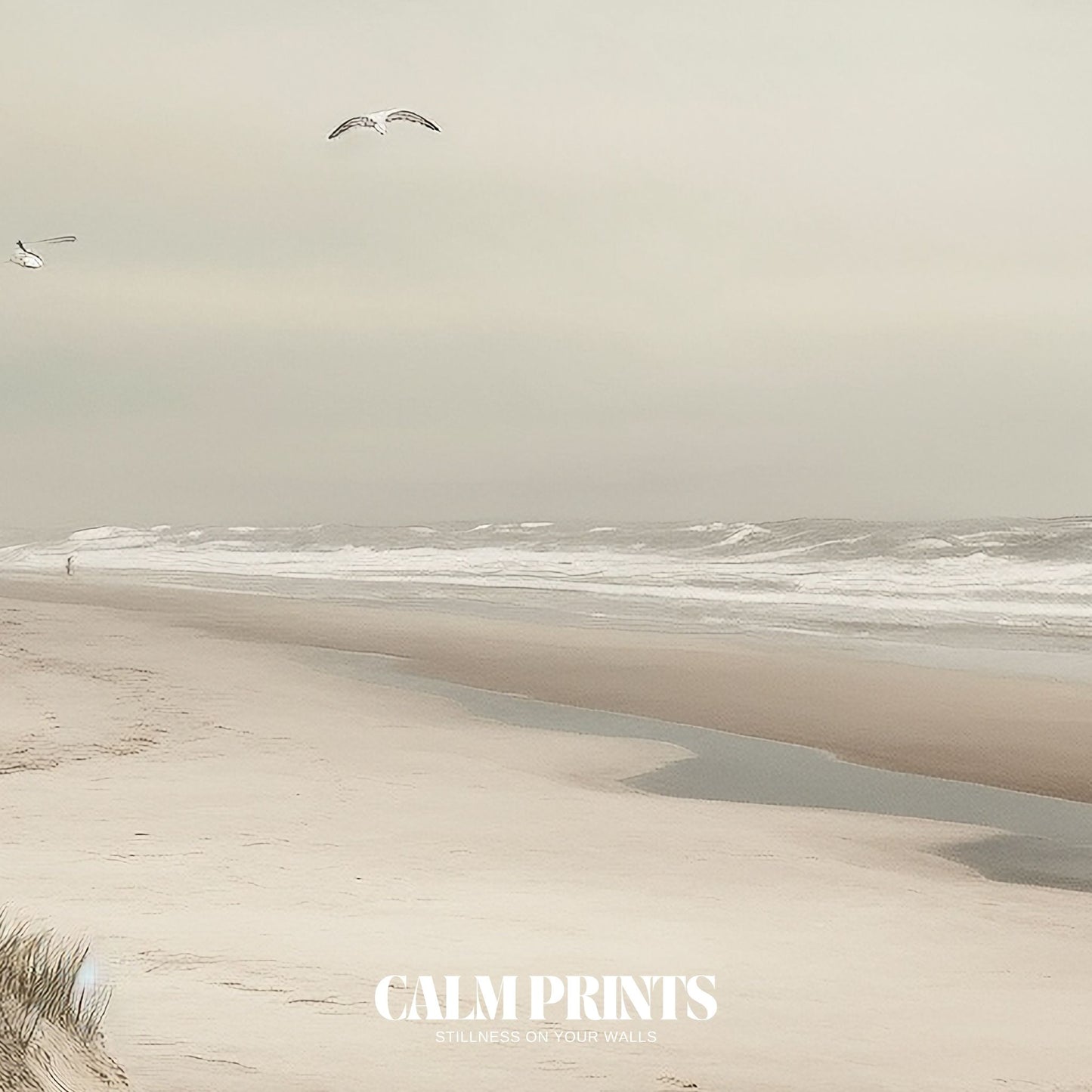 Seagulls flying across the ocean horizon in a tranquil beach setting
