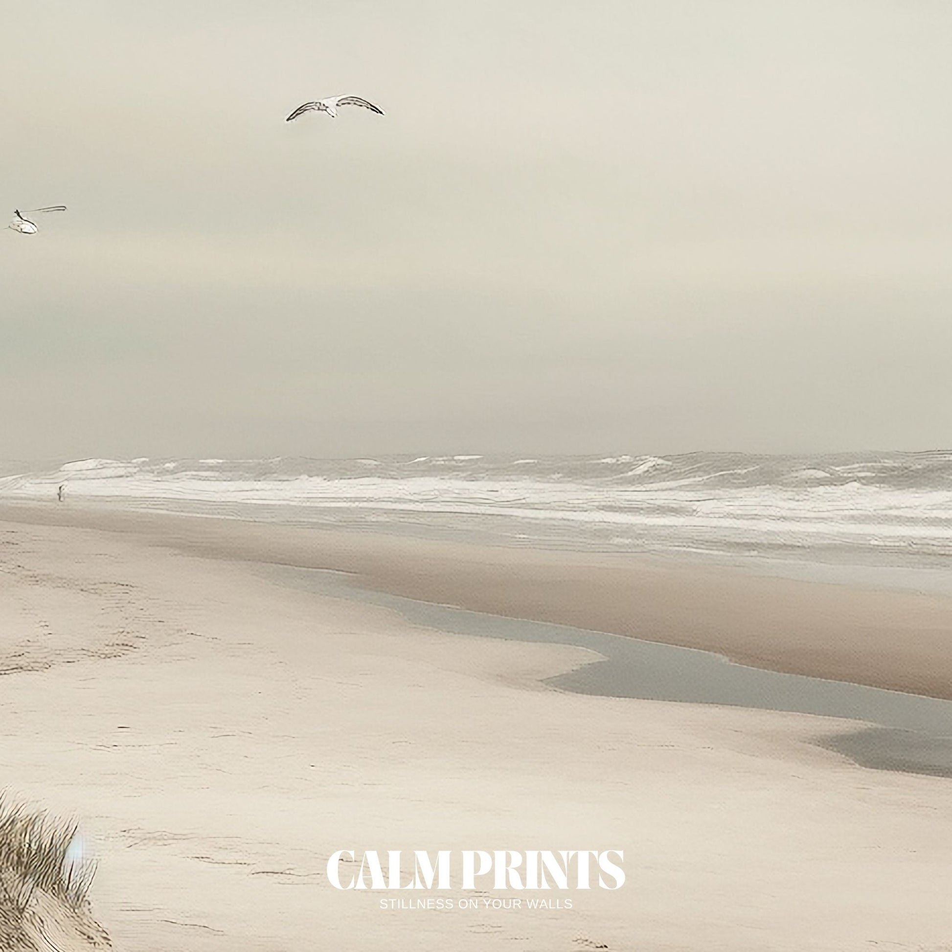 Seagulls flying across the ocean horizon in a tranquil beach setting
