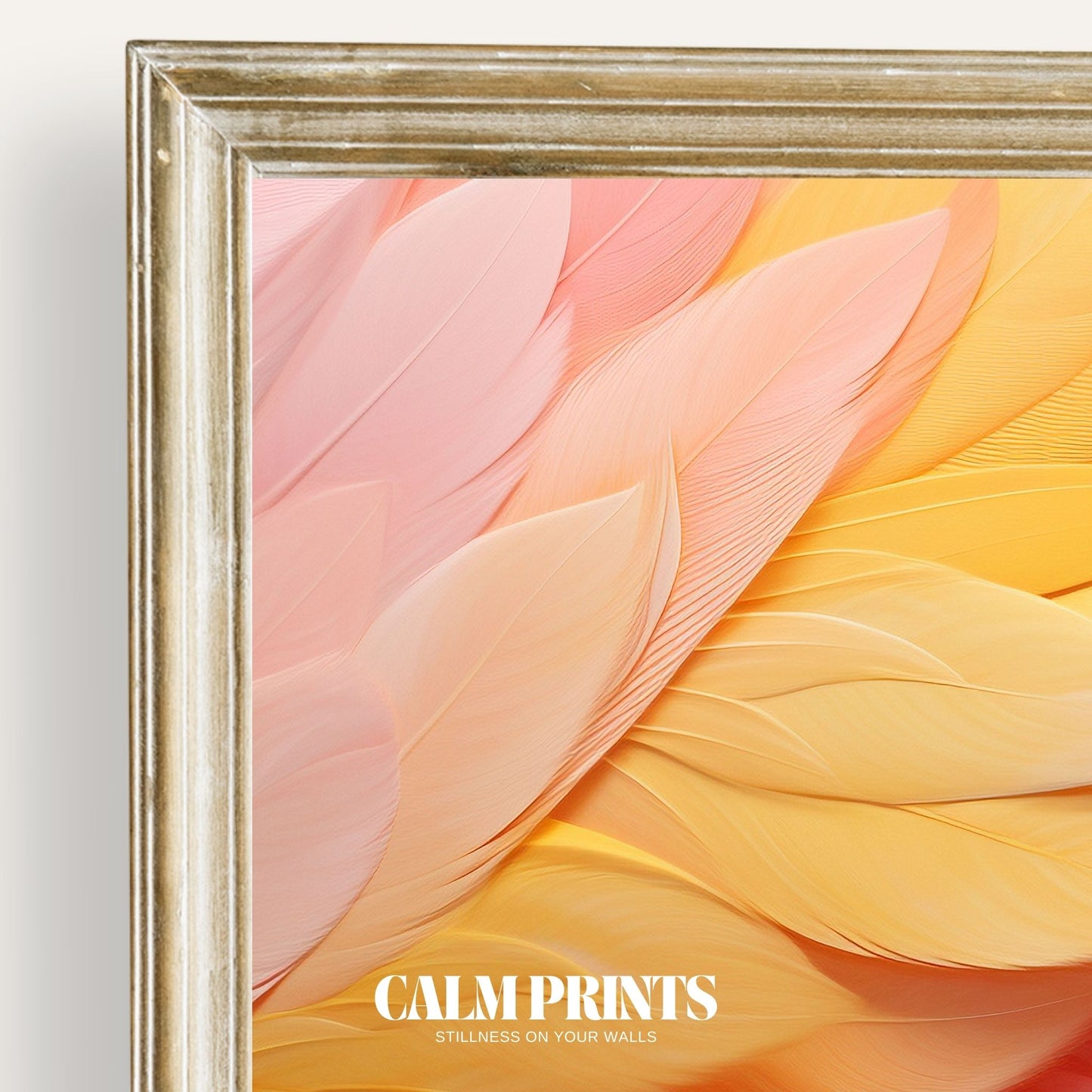 Artwork of soft pastel feathers arranged in a soothing, colourful pattern
