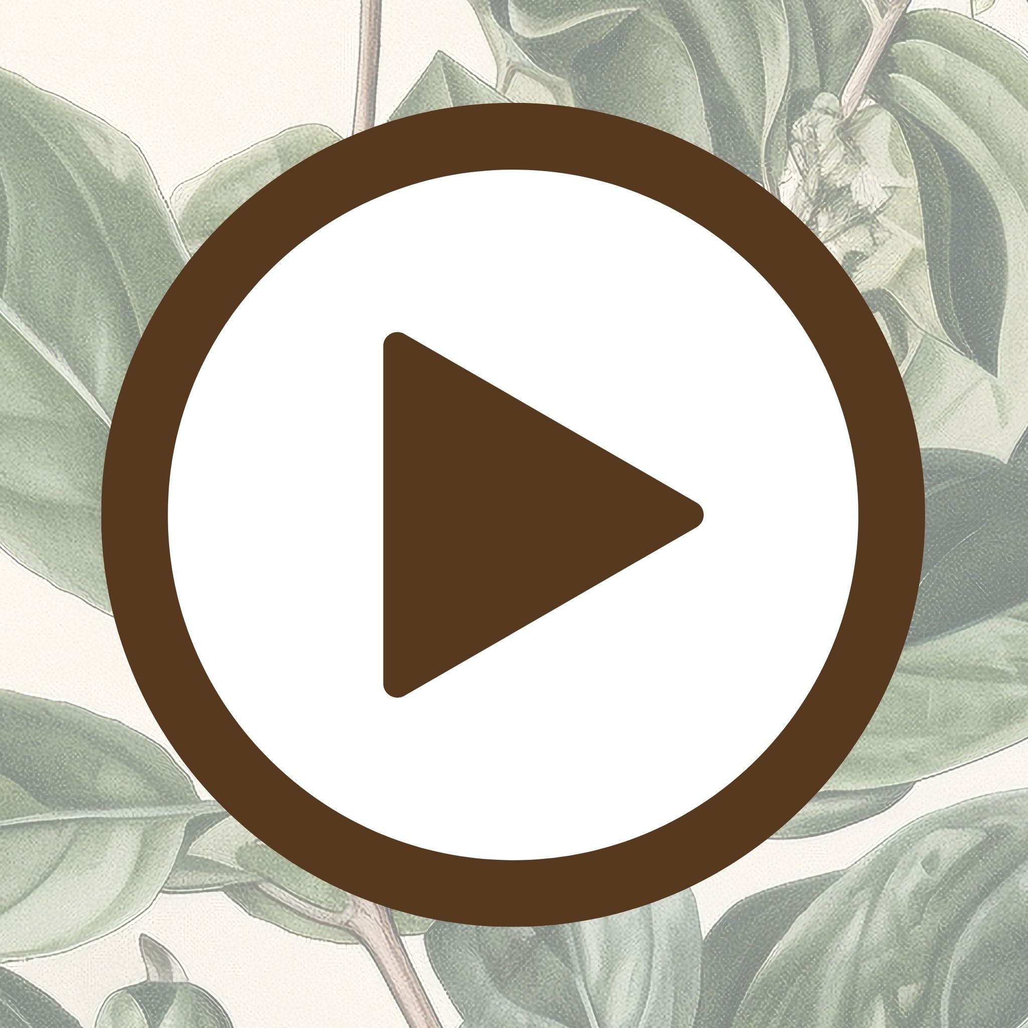 Traditional botanical artwork of leaves and berries with vintage appeal